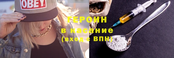 индика Алексин
