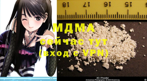 индика Алексин