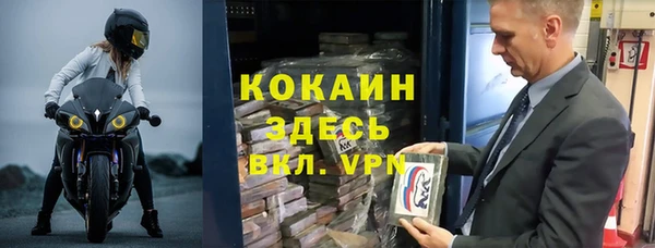 индика Алексин