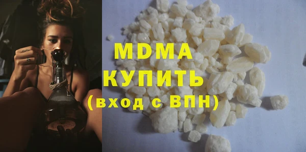 индика Алексин